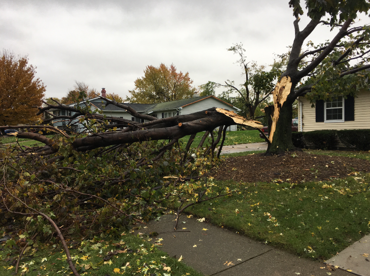 November 5 tornado damages homes, businesses on Eries west side