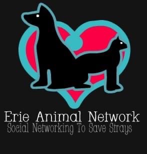 Erie Animal Network provides many services to local community