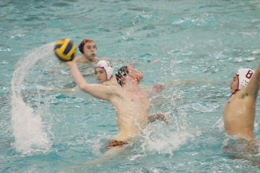 Athlete of the Week: Calvin Behm (water polo)