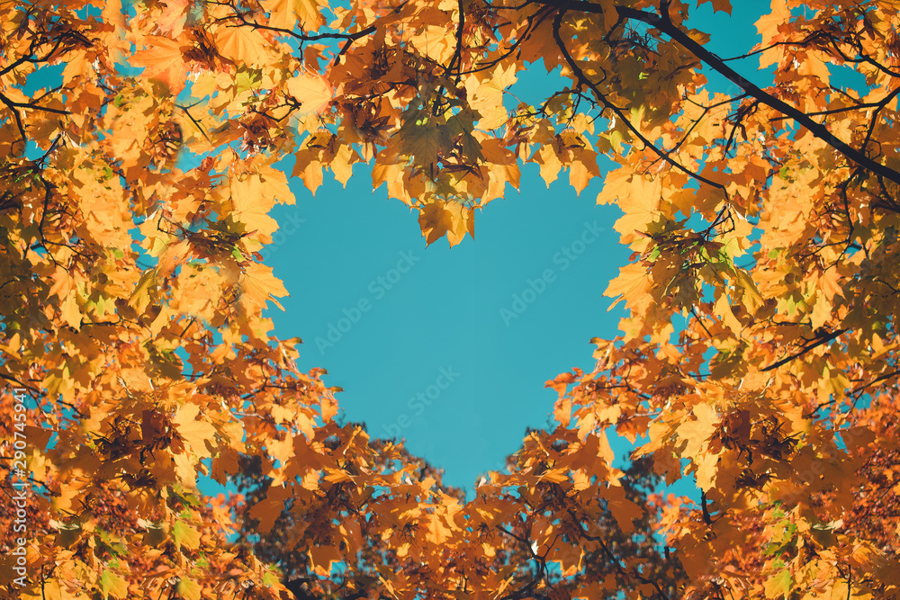 Great Things to Do During Fall
